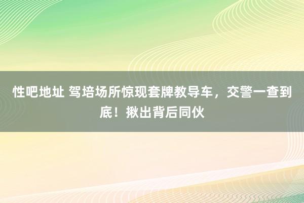 性吧地址 驾培场所惊现套牌教导车，交警一查到底！揪出背后同伙