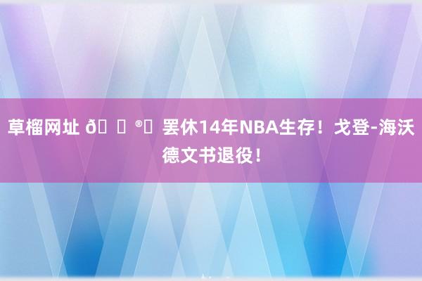 草榴网址 ?️罢休14年NBA生存！戈登-海沃德文书退役！