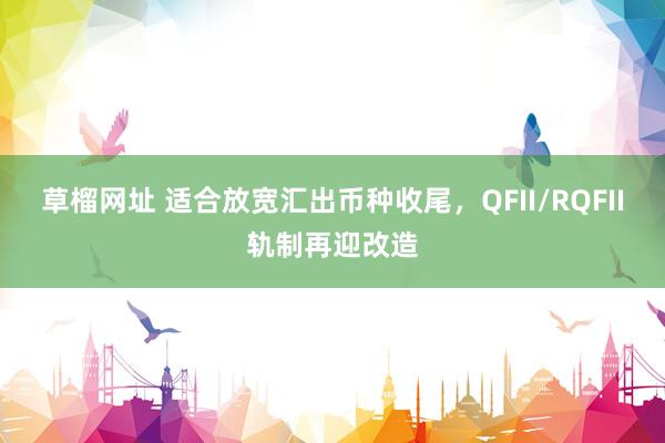 草榴网址 适合放宽汇出币种收尾，QFII/RQFII轨制再迎改造