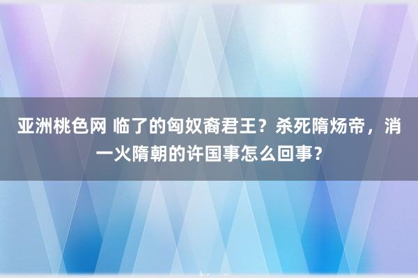 亚洲桃色网 临了的匈奴裔君王？杀死隋炀帝，消一火隋朝的许国事怎么回事？