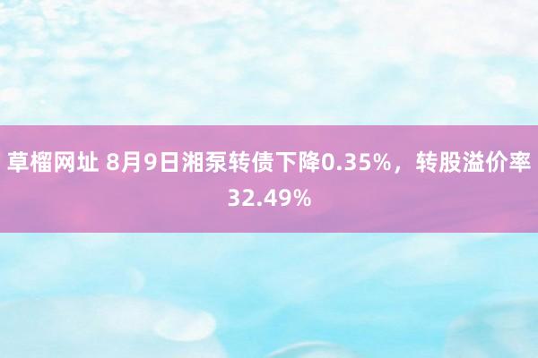 草榴网址 8月9日湘泵转债下降0.35%，转股溢价率32.49%