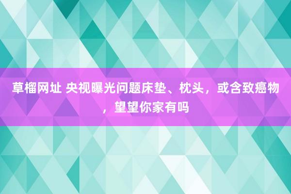 草榴网址 央视曝光问题床垫、枕头，或含致癌物，望望你家有吗