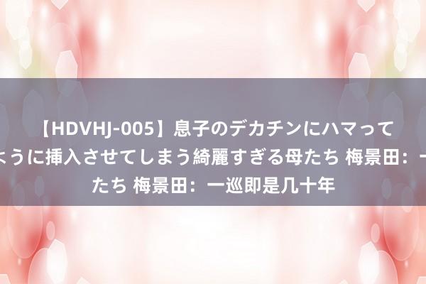 【HDVHJ-005】息子のデカチンにハマってしまい毎日のように挿入させてしまう綺麗すぎる母たち 梅景田：一巡即是几十年