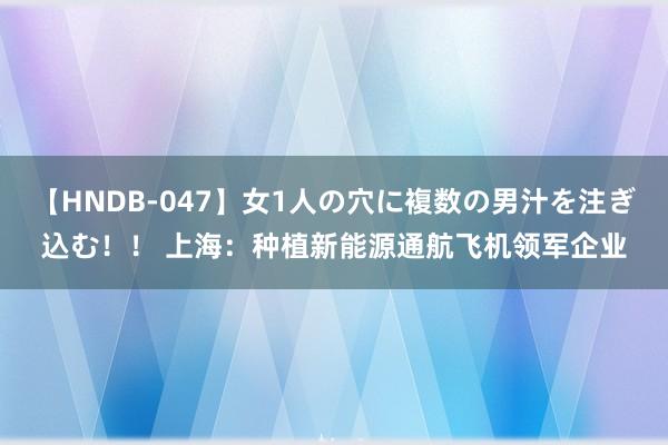 【HNDB-047】女1人の穴に複数の男汁を注ぎ込む！！ 上海：种植新能源通航飞机领军企业