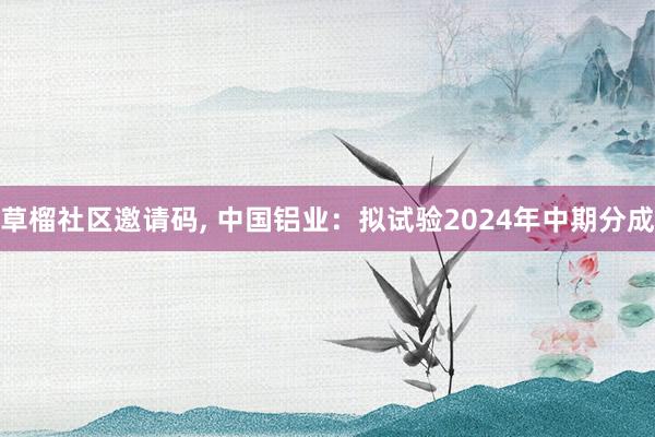 草榴社区邀请码， 中国铝业：拟试验2024年中期分成