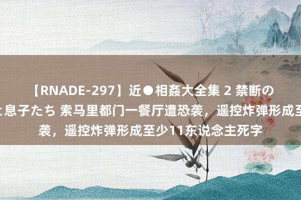 【RNADE-297】近●相姦大全集 2 禁断の性愛に堕ちた義母と息子たち 索马里都门一餐厅遭恐袭，遥控炸弹形成至少11东说念主死字