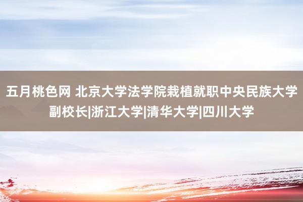 五月桃色网 北京大学法学院栽植就职中央民族大学副校长|浙江大学|清华大学|四川大学