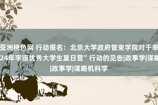 亚洲桃色网 行动报名：北京大学政府管束学院对于举办 “2024年宇宙优秀大学生夏日营”行动的见告|政事学|谋略机科学